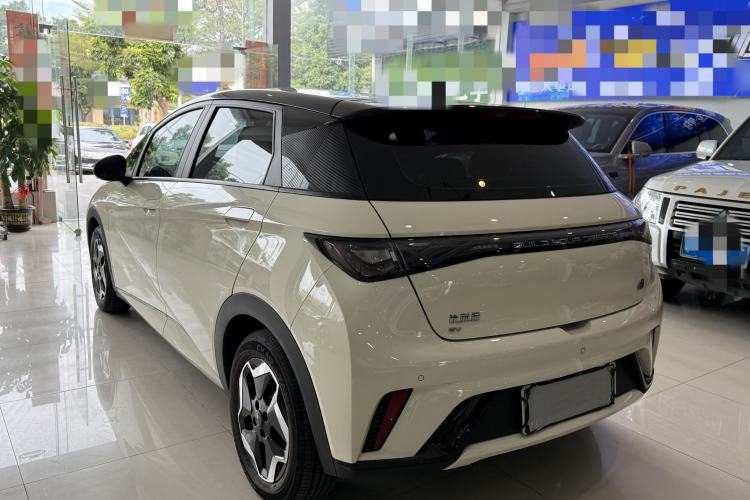 Used BYD Dolphin 2021 405 km Free Version
