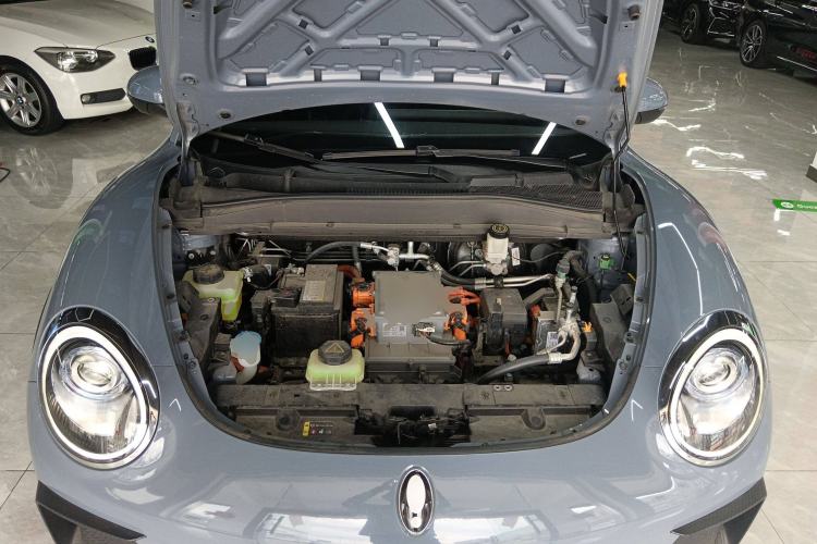 Used ORA Good Cat GT 2022 Mulan Edition 401 km Standard Range
