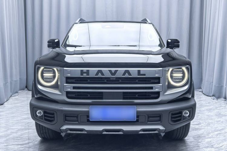 Used Haval DARGO 2024 2.0T DCT Chinese Rural Dog Edition
