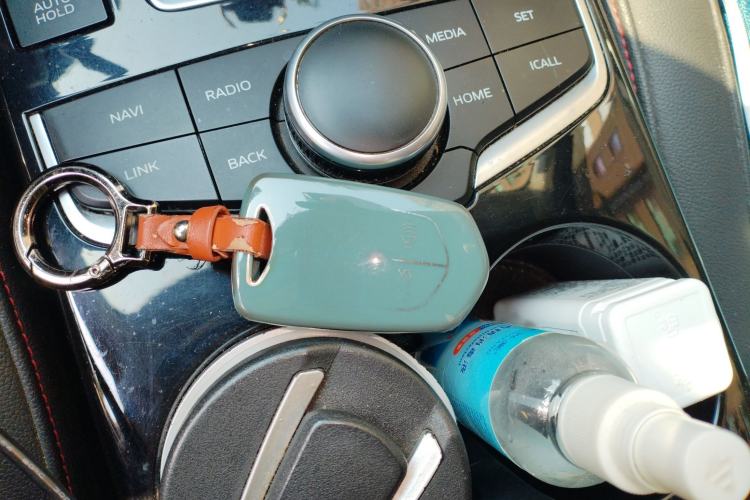 Used BORGWARD BX5 2017 20TGDI Automatic Two-Wheel Drive Leading Edition