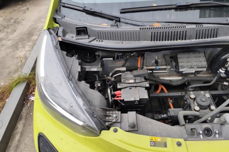 Used Chery Little Ant 2024 Facelifted 321km Beloved Edition
