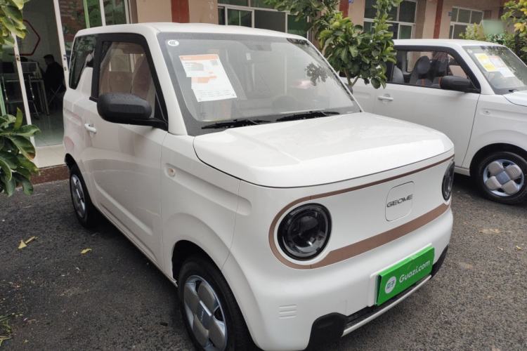 Used  Panda 2024 Panda Mini 200km Endurance Bear
