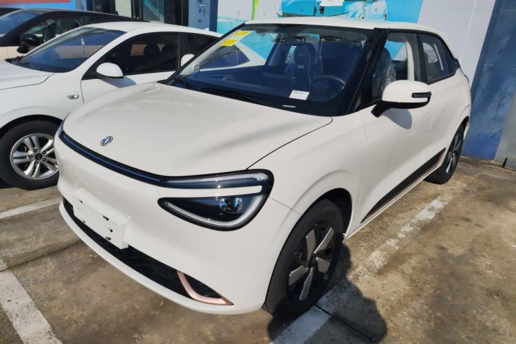 Used Dongfeng NAMMI 01 
