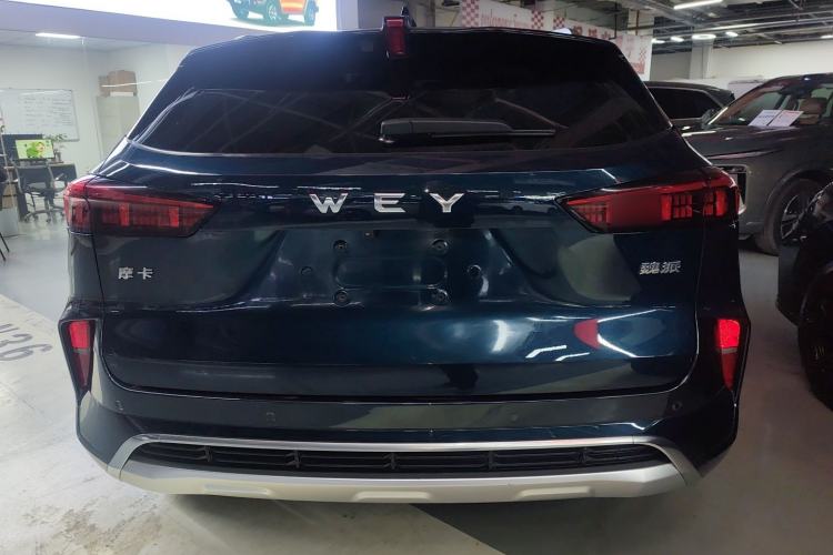 Used Wey Mocha 2021 2.0T Four-Wheel Drive Premium Edition
