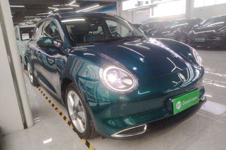 Used ORA Good Cat 2023 401 km Standard Range Luxury Version Lithium Iron Phosphate
