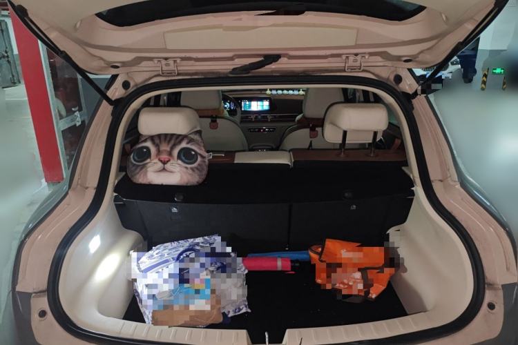 Used ORA Good Cat 2021 500km Long-Range Poseidon Edition Lithium-Ion Battery
