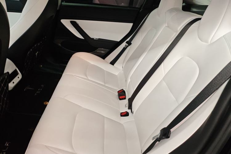 Used Tesla Model 3 2020 Standard Range Rear-Wheel Drive Upgraded Version