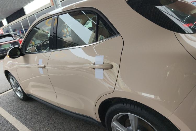 Used ORA Good Cat 2023 401 km Standard Range Luxury Version Lithium Iron Phosphate
