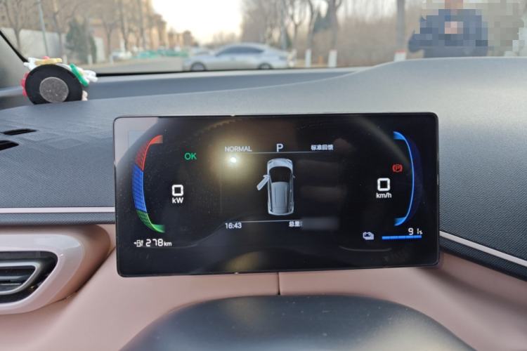 Used BYD Seagull 2025 305 km Free Version