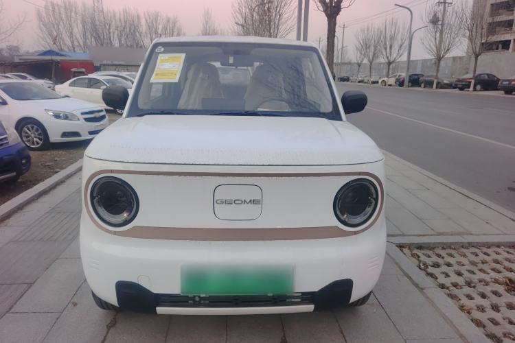 Used  Panda 2024 Panda Mini 200km Endurance Bear