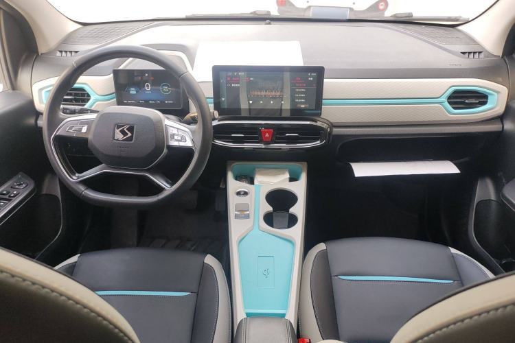 Used SOL E10X 2022 Flower Fairy Design Four-Leaf Clover
