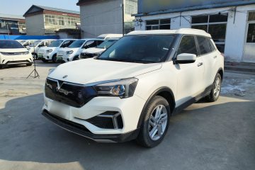 Used Venucia T60EV 2020 AI Enjoyment Model