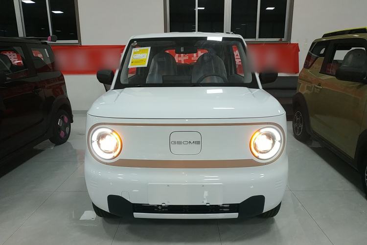 Used  Panda 2024 Panda Mini 200km Endurance Bear
