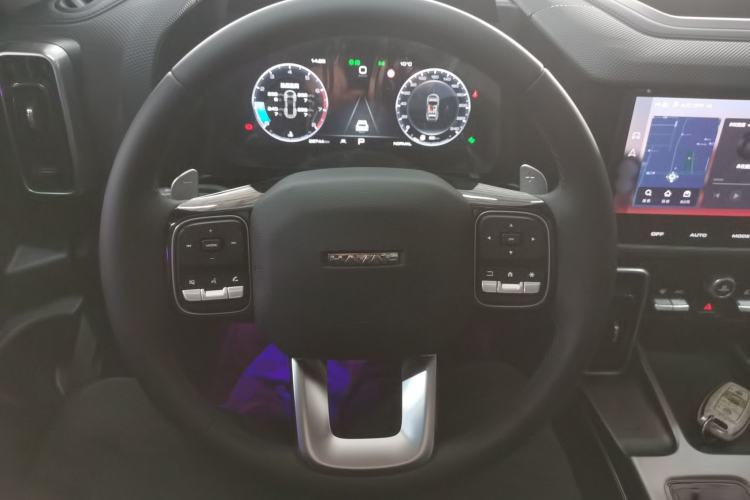 Used Haval DARGO 2024 2.0T DCT Chinese Rural Dog Edition