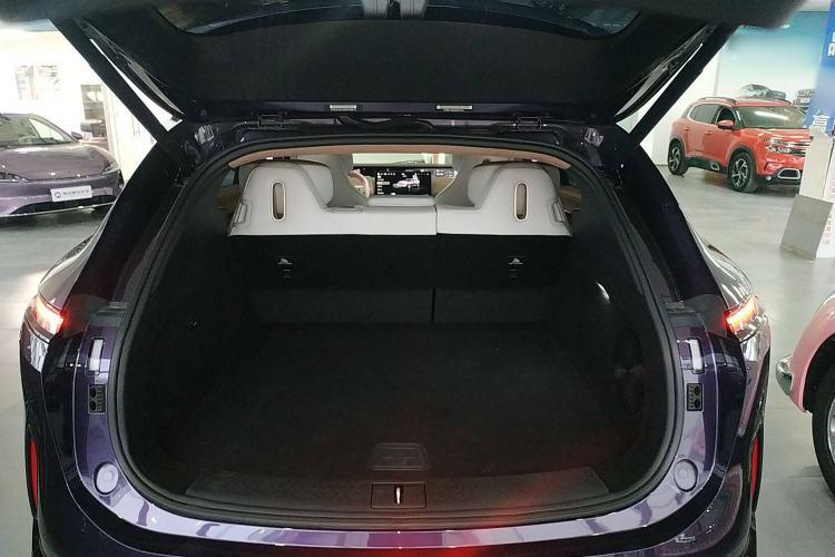 Used  07 2024 Max Extended-Range Edition
