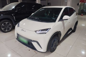 Used BYD Seagull 2025 305km Active Version