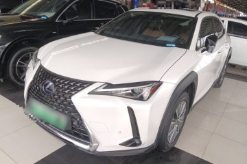 Used Lexus UX New Energy 2020 300e Pure·Joy Edition