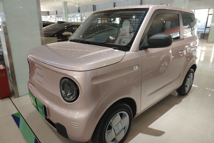 Used  Panda 2024 Panda Mini 200km Longteng PRO Edition
