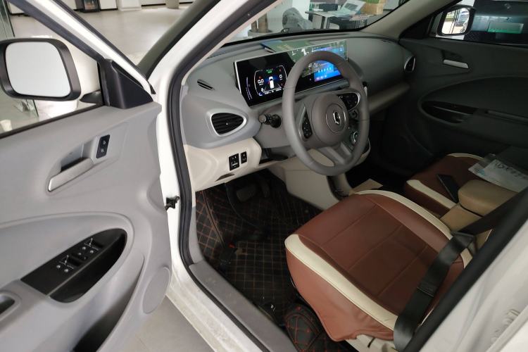 Used ORA White Cat 2020 360 km Luxury Version
