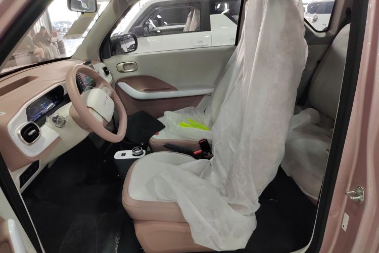 Used  Panda 2025 210 km – Yuanqi Bear
