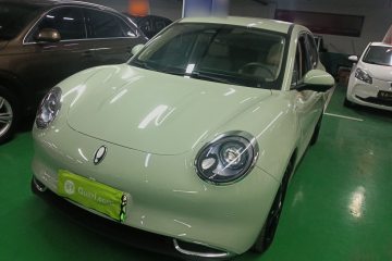 Used ORA Good Cat 2024 401 km Luxury Version