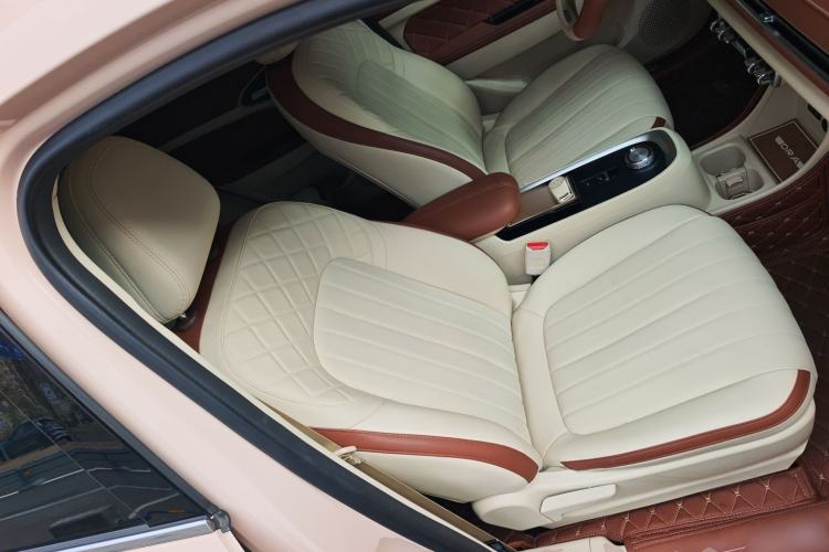 Used ORA Good Cat 2023 401 km Standard Range Comfort Version Lithium Iron Phosphate