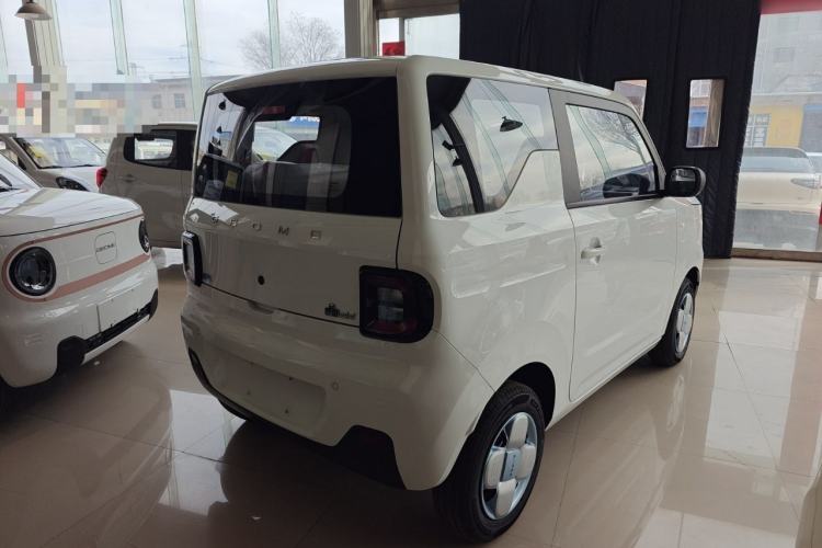 Used  Panda 2024 Panda Mini 200km Endurance Bear