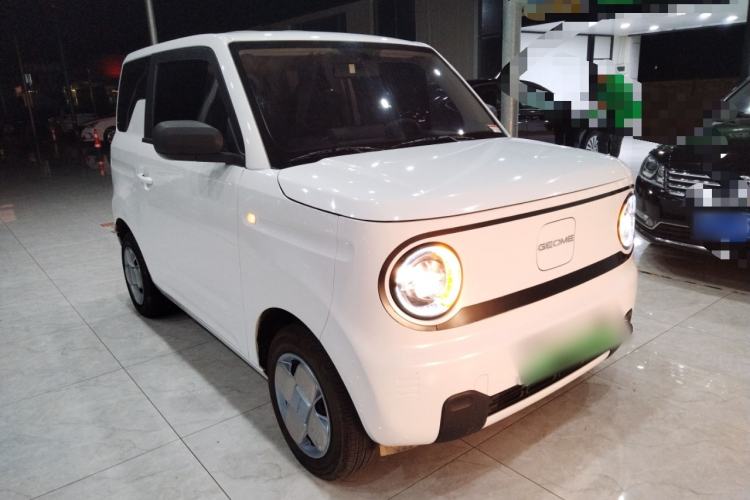 Used  Panda 2024 Panda Mini 200km Endurance Bear