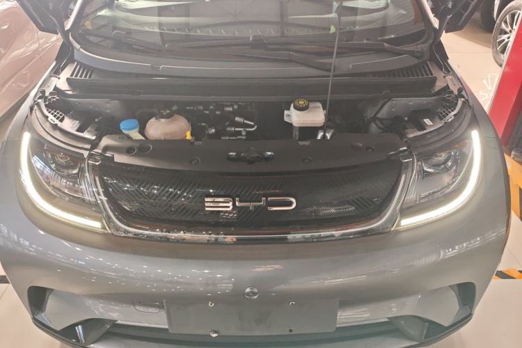 Used BYD Dolphin 2021 405 km Free Version