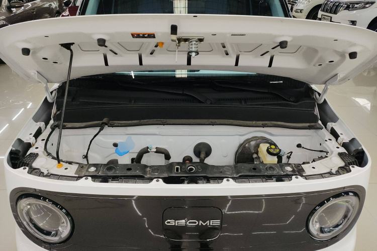 Used  Panda 2024 Panda Mini 200km Endurance Bear
