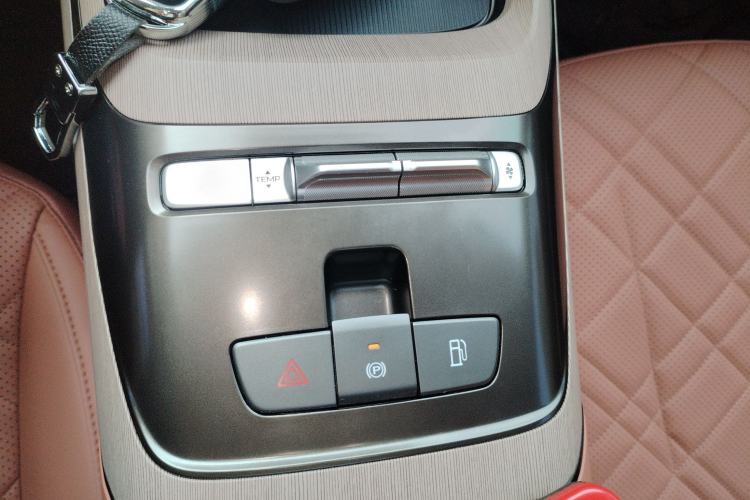 Used  A05 2024 Truly Delicious Version 145 Beyond-Excellent Type
