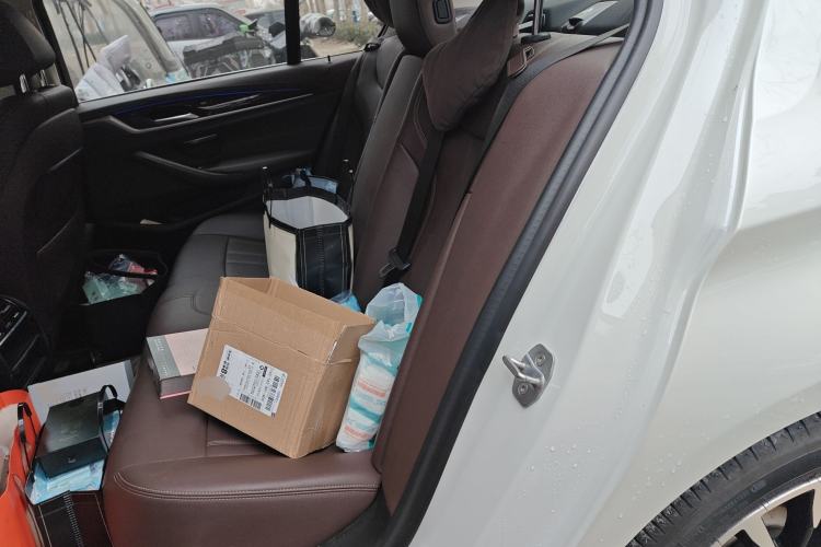 Used BMW 5 Series 2020 525Li Luxury Package