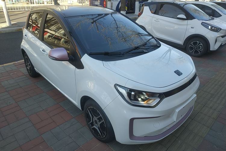 Used SOL E10X 2022 Flower Fairy Design Four-Leaf Clover