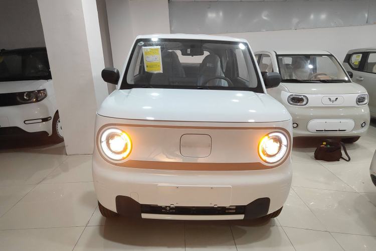 Used  Panda 2024 Panda Mini 200km Endurance Bear

