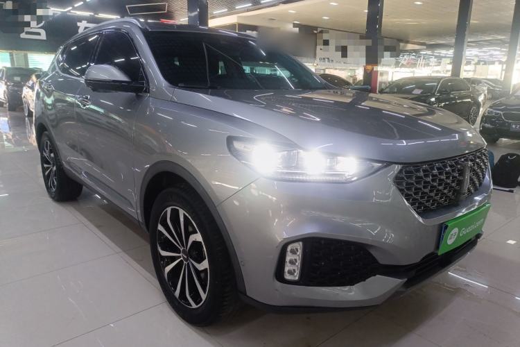 Used Wey VV6 2020 2.0T Two-Wheel Drive Collie SmartDrive+
