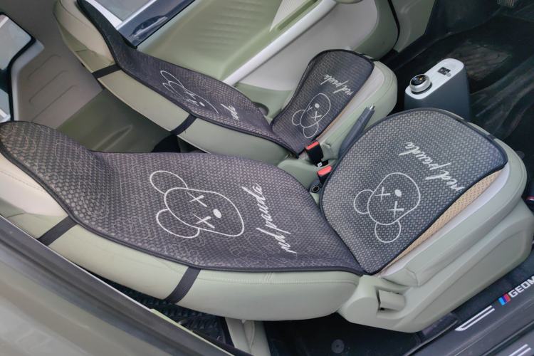 Used  Panda 2025 210km Panda Rider