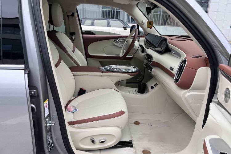 Used ORA Ballet Cat 2023 401 km Luxury Version
