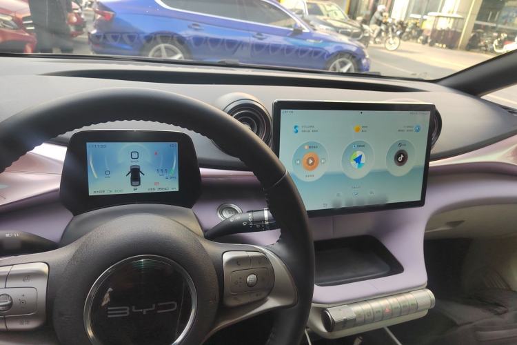 Used BYD Dolphin 2021 405 km Free Version
