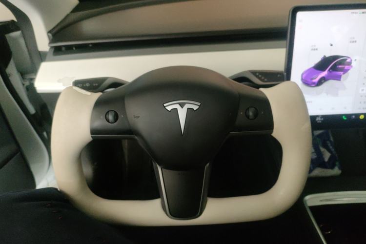 Used Tesla Model 3 2022 Rear-Wheel-Drive Version