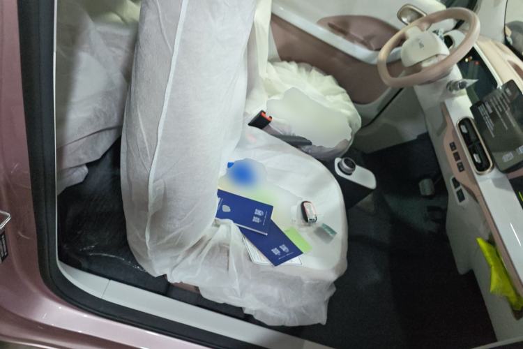 Used  Panda 2025 210 km – Yuanqi Bear
