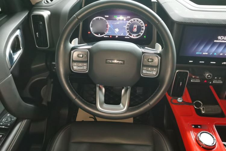 Used Haval DARGO 2024 2.0T DCT Chinese Rural Dog Edition