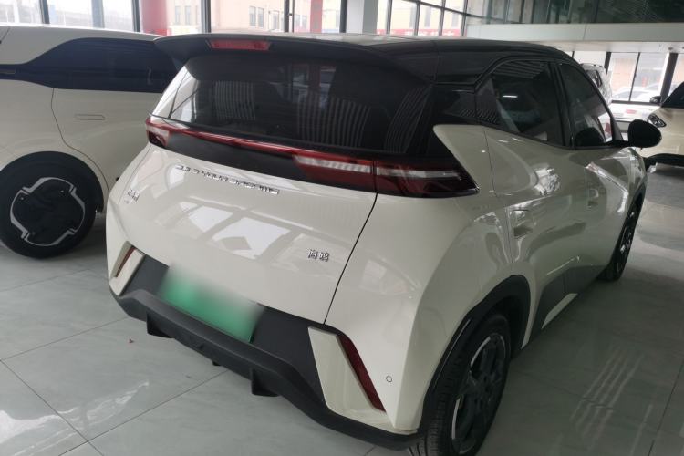 Used BYD Seagull 2024 Honor Edition 305km Freedom Version