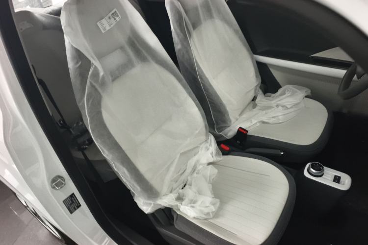 Used  Panda 2025 210 km – Yuanqi Bear
