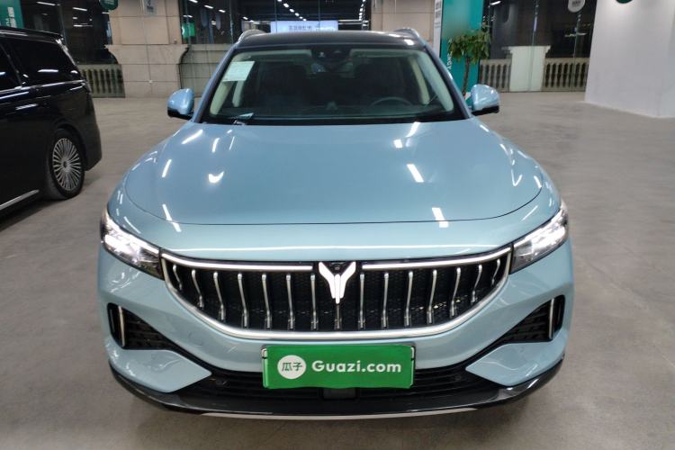 Used VOYAH FREE 2021 Two-Wheel Drive Standard Pure Electric City Edition
