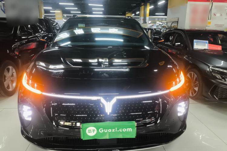 Used VOYAH COURAGE 2024 Four-Wheel Drive Global Edition
