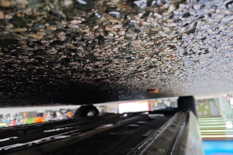 Used Nissan Teana 2021 2.0L XL Comfort Edition
