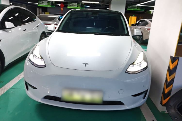 Used Tesla Model Y 2021 Standard Range Rear-Wheel Drive Version
