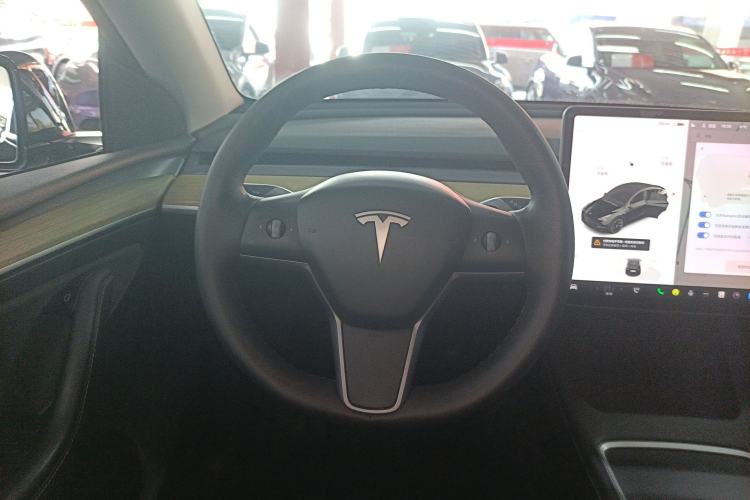 Used Tesla Model Y 2021 Standard Range Rear-Wheel Drive Version
