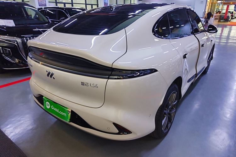 Used  LS6 2023 Max Long-Range Version
