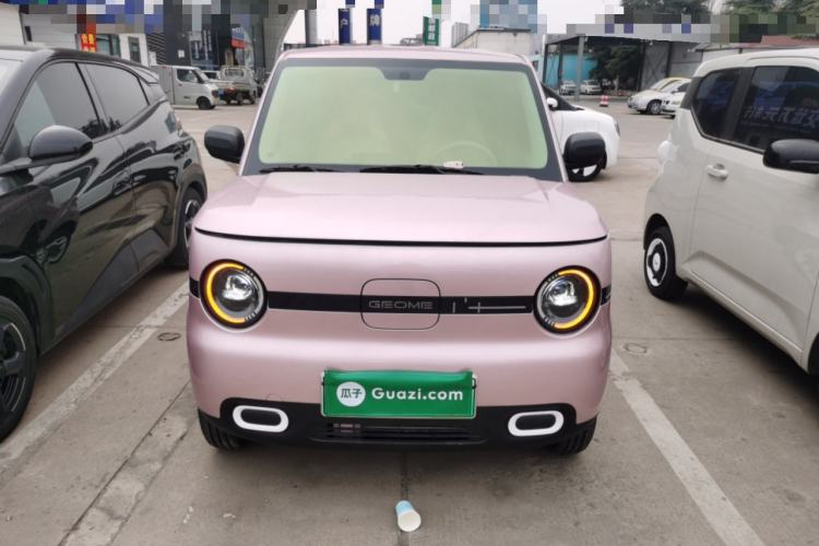 Used  Panda 2025 210 km – Yuanqi Bear